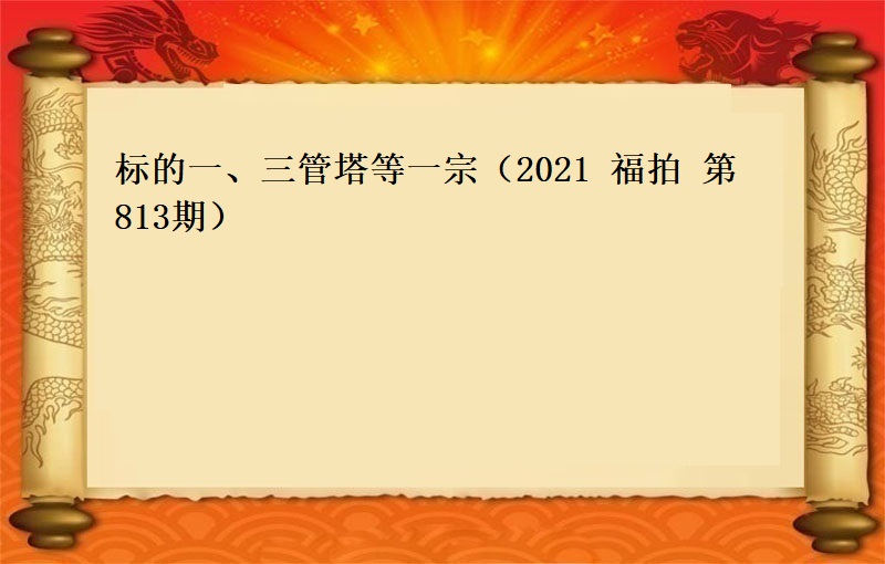 标的一、三管塔等一宗（2021 福拍 第813期）