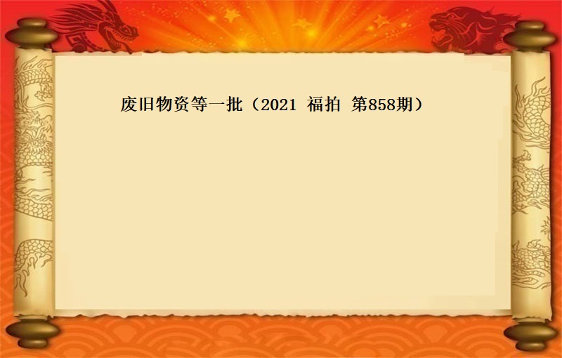 报废物资等一批（2021  福拍 第858期）