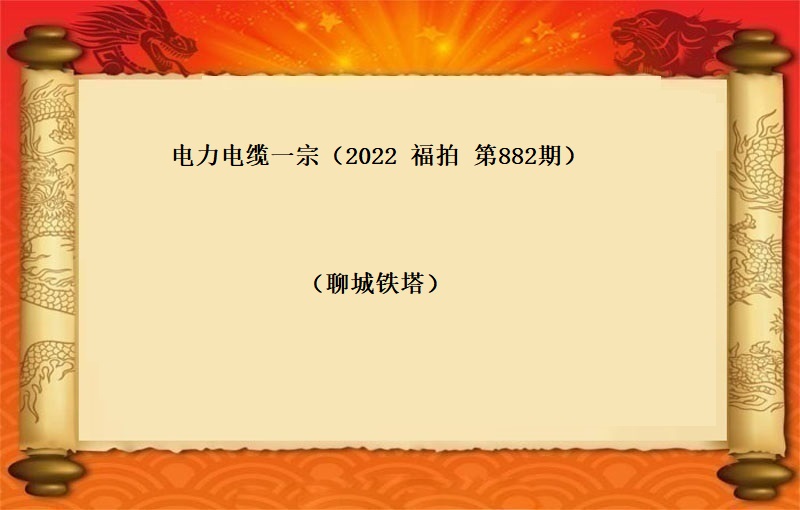 电力电缆一宗（2022  福拍 第882期）