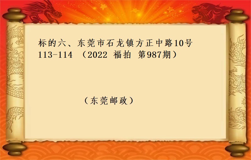 标的六、东莞市石龙镇方正中路10号113-114  （按年租金起拍）（2022 福拍 第987期）