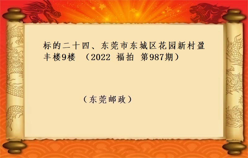 标的二十四、东莞市东城区花园新村盈丰楼9楼 （按年租金起拍）（2022 福拍 第987期）