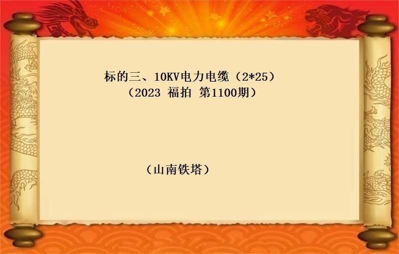 标的三、10KV电力电缆（2*25） （按吨拍卖）（2023 福拍 第1100期）