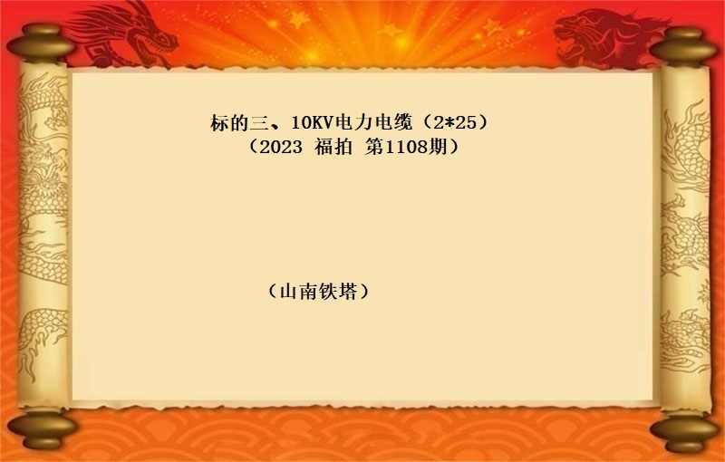标的三、10KV电力电缆（2*25）（按吨拍卖）（2023 福拍 第1108期）