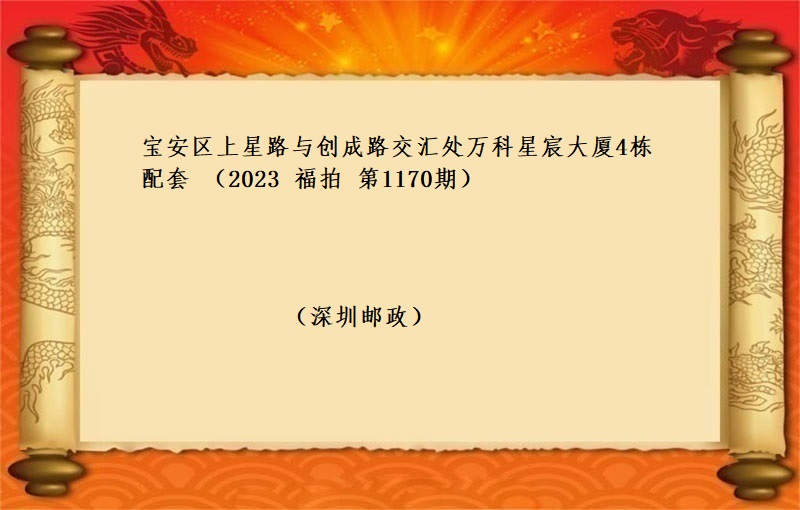 宝安区上星路与创成路交汇处万科星宸大厦4栋配套 （按年租金起拍）（2023 福拍 第1170期）
