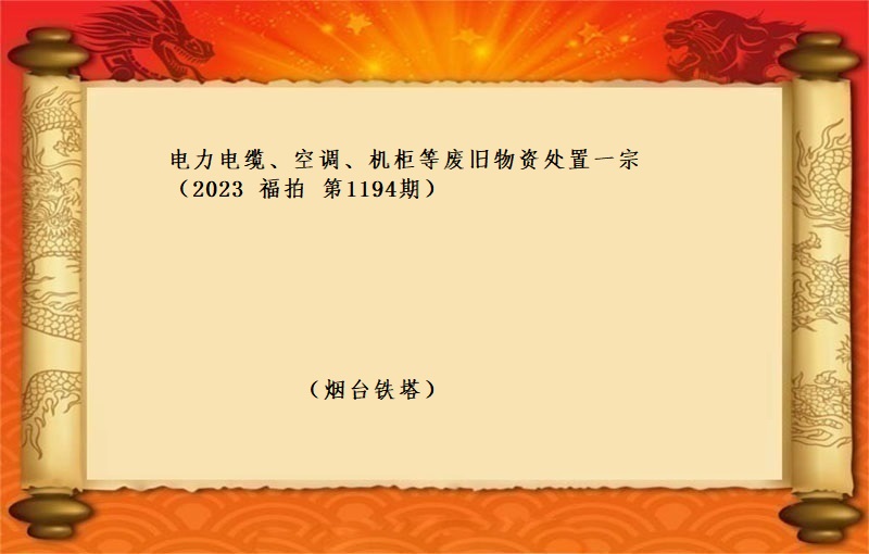 电力电缆、空调、机柜等废旧物资处置一宗 （2023 福拍 第1194）