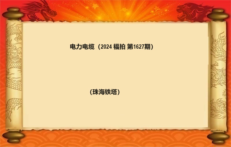 电力电缆（2024 福拍 第1627期）
